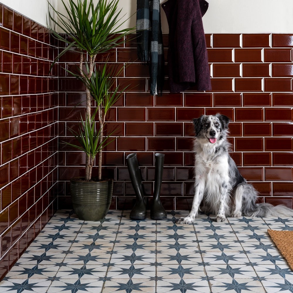 Canis Ceramic Floor Tiles